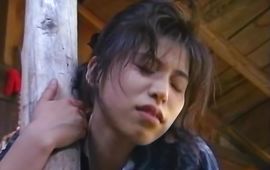 Swingeing Reiko Akiyama sucks a chunky dick passionately